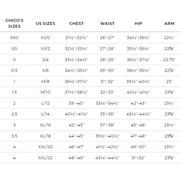 Chico's Blouse Womens Size 1 US M/8 Blue White Silk Embroidery Trim Sheer - Picture 11 of 11